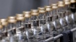 В Пскове изъяли более двадцати тысяч литров контрафактного алкоголя