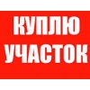 Куплю земельный участок в пригороде или в деревне